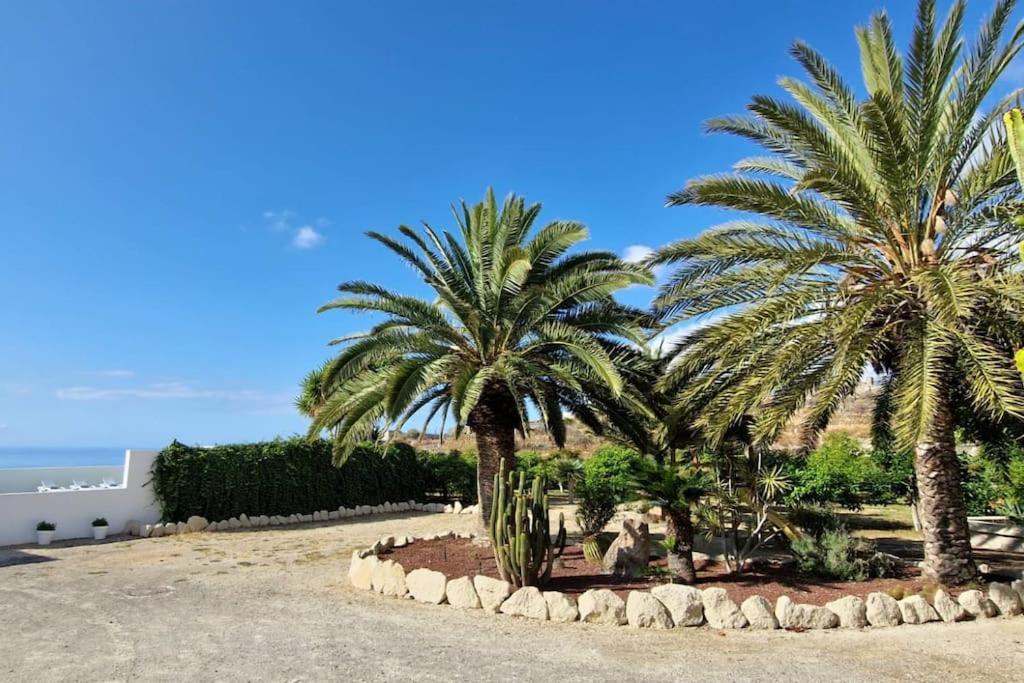 Willa Private House With Pool & Garden Güimar Zewnętrze zdjęcie